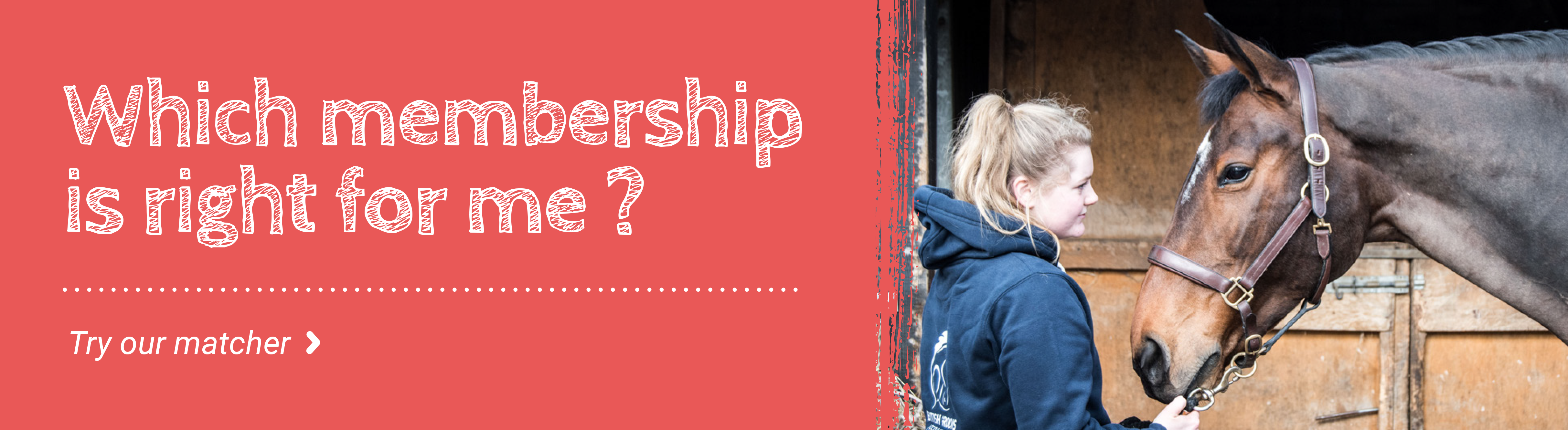 British Grooms Association Membership Options