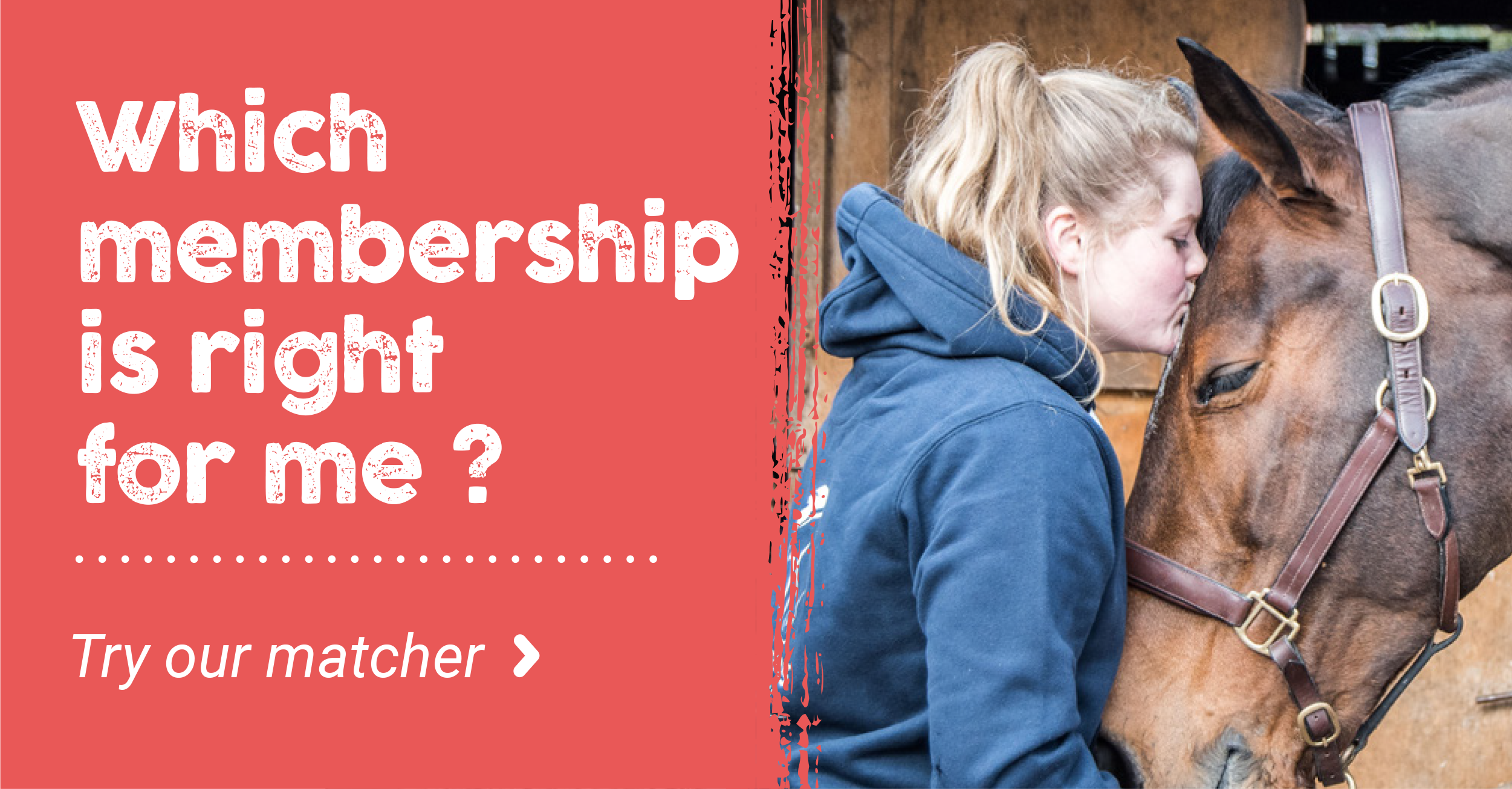 British Grooms Association Which Membership