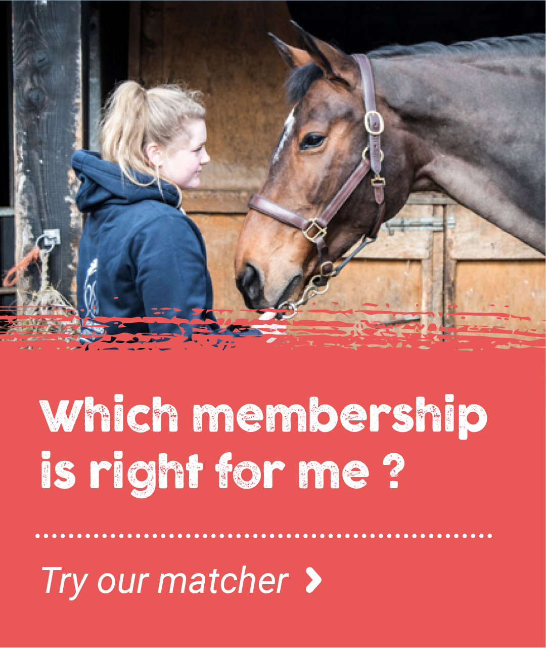British Grooms Association Member Options