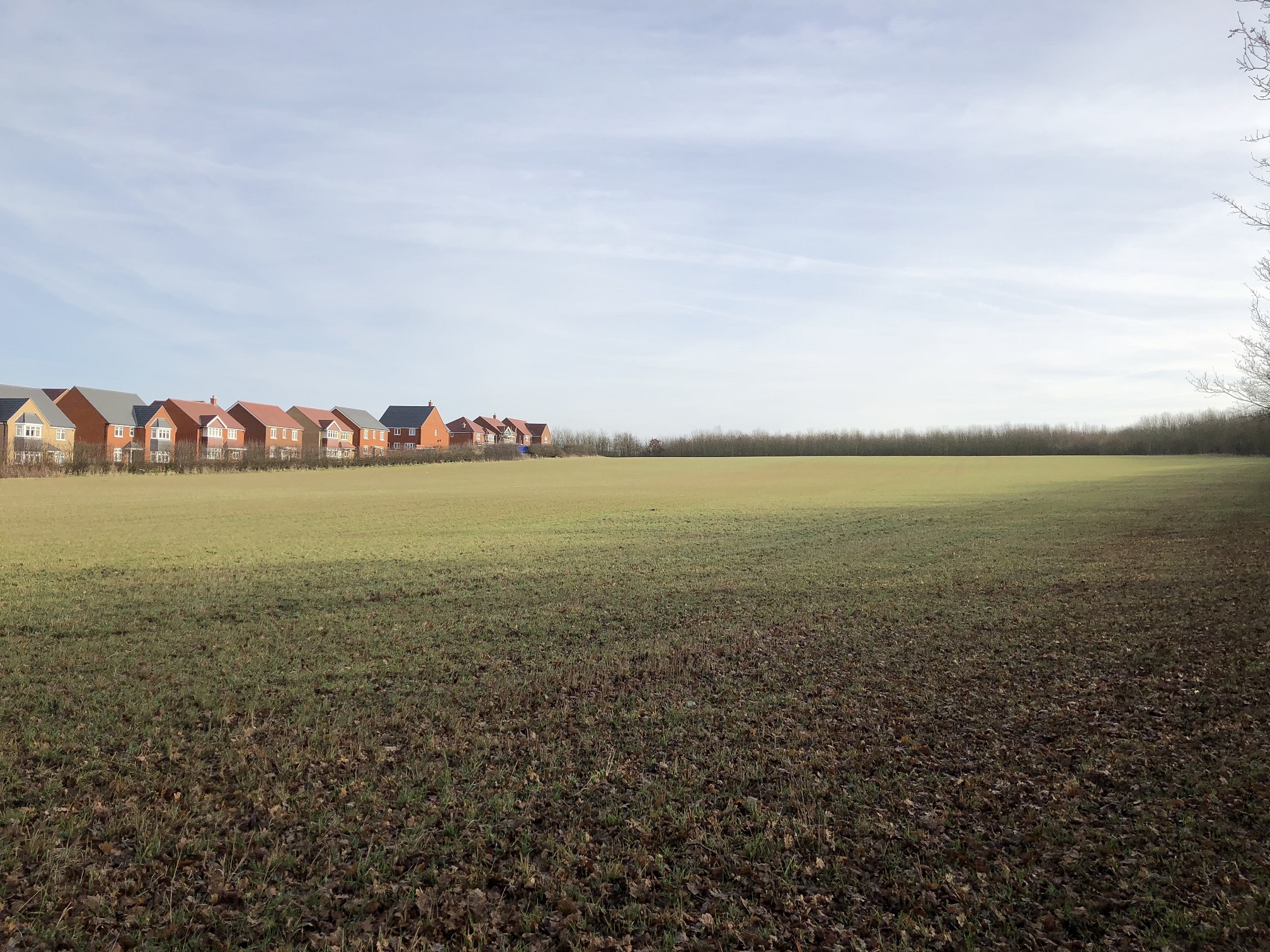 Green And Grey Belt Land