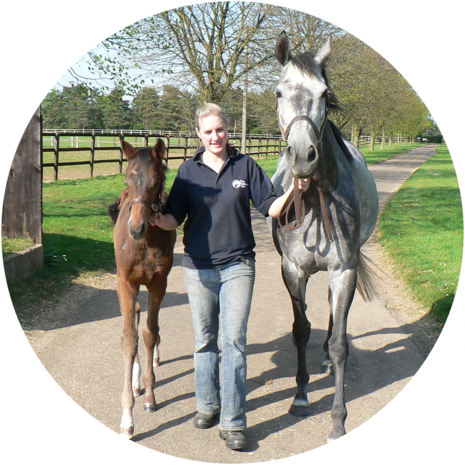 British Grooms Association member with racing youngstock