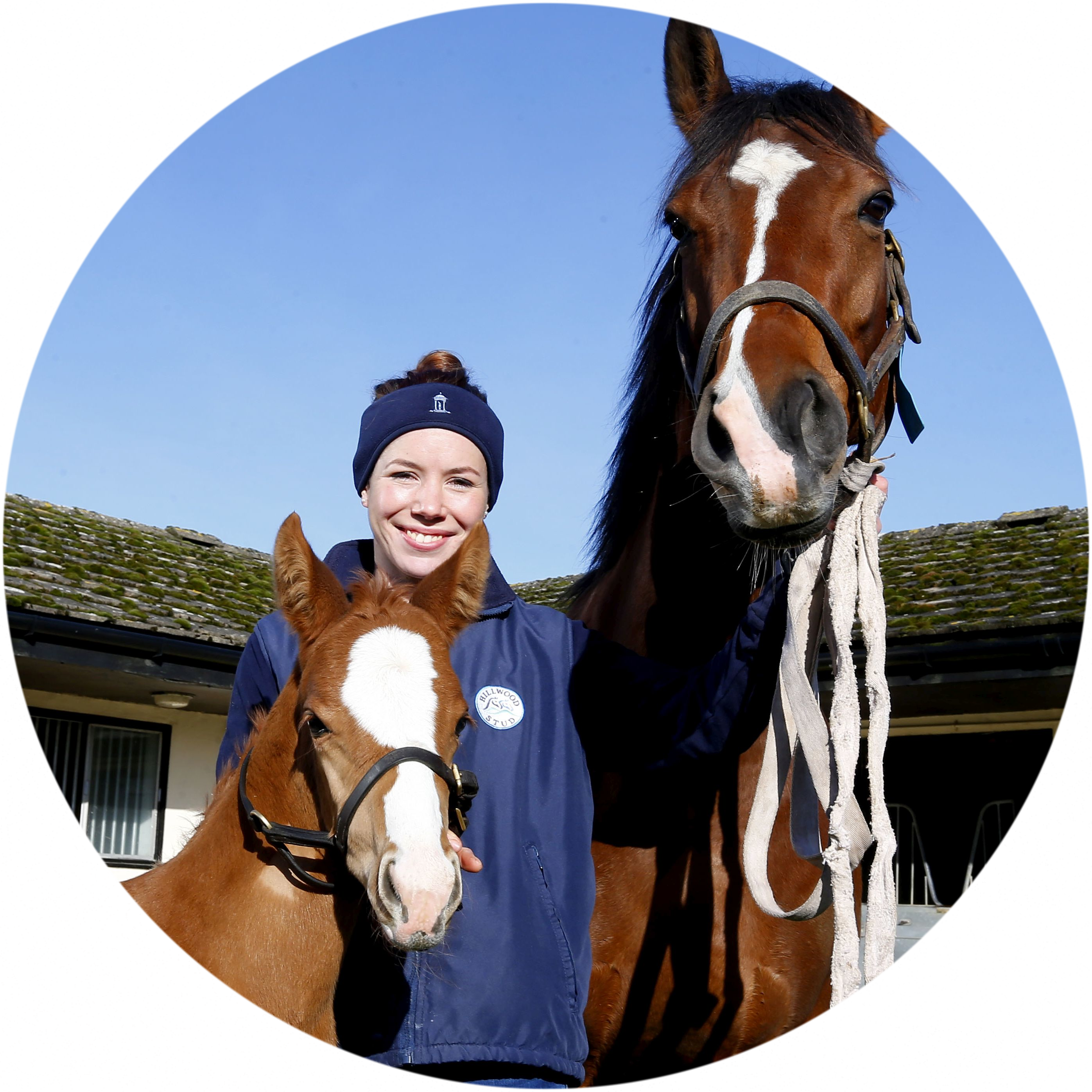 Racehorse breeding groom with British Grooms Association