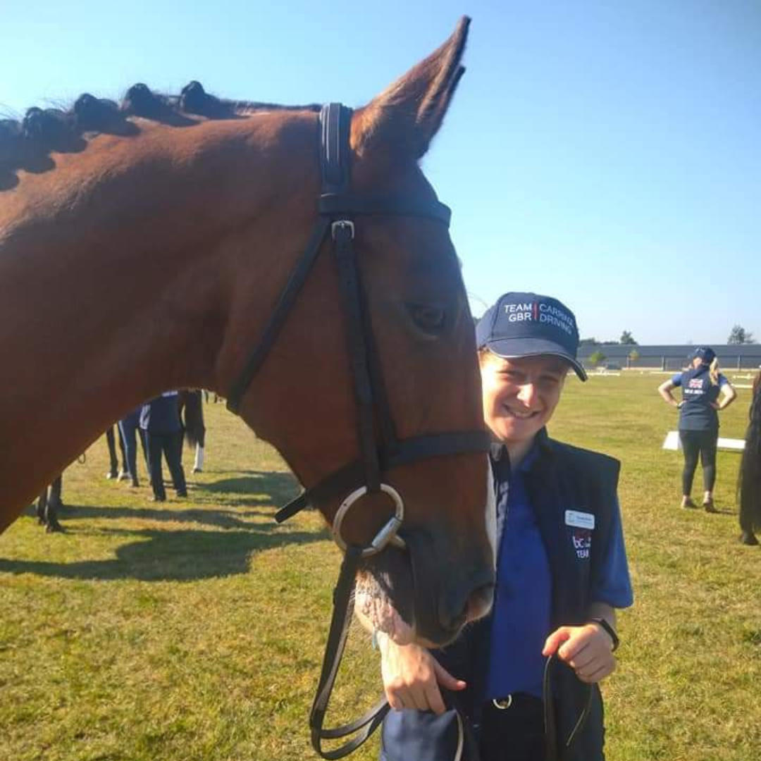 Career with Showing horses