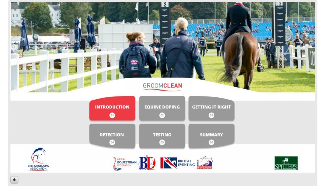 Groom Clean Certificate