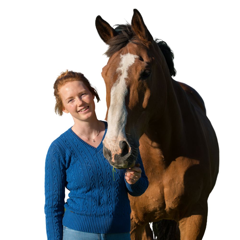 British Grooms Association Joining options