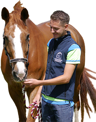 British Grooms Association member with horse