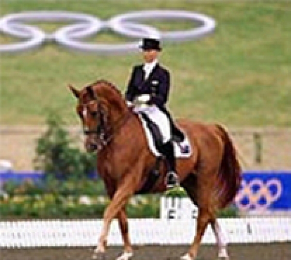 Career in dressage with British Grooms Association