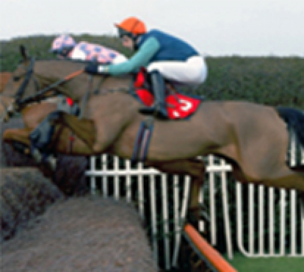 Career in horse racing with British Grooms Association