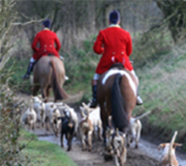 Career in hunting with British Grooms Association