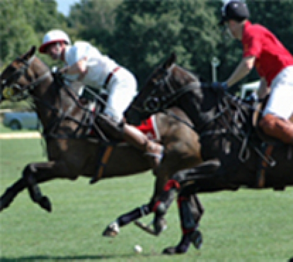 Career in Polo with British Grooms Association