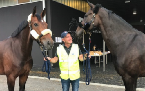 Grooms Life Article Image