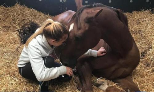 Grooms Life Article Image