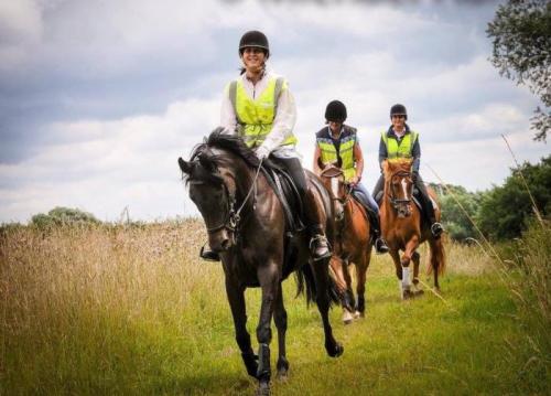 Grooms Life Article Image