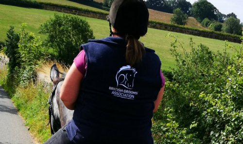 Grooms Life Article Image