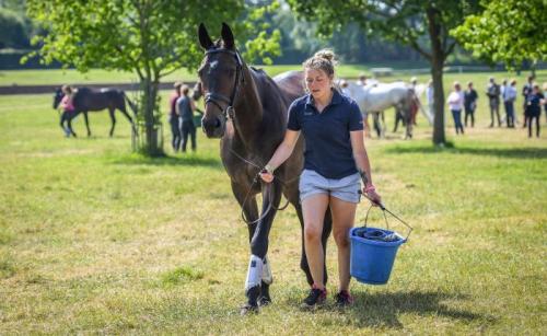 Grooms Life Article Image
