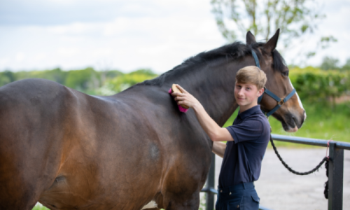 Grooms Life Article Image