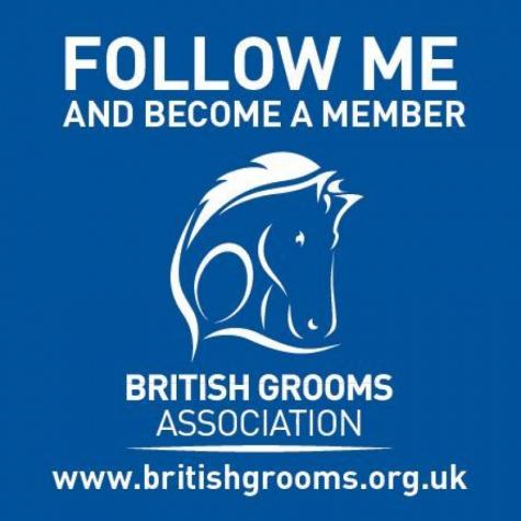 Car Sticker Product Image